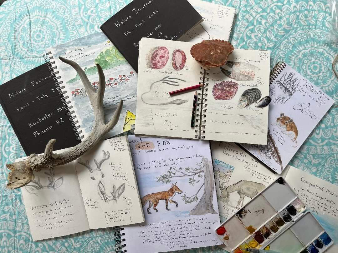 deb-mowry-nature-journaling-crossings-art-community-education-center-zumbrota